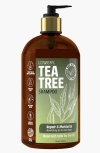 Lovery Tea Tree Shampoo In Amber/green