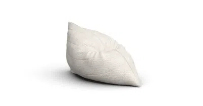 Lovesac Pillowsac In Neutral