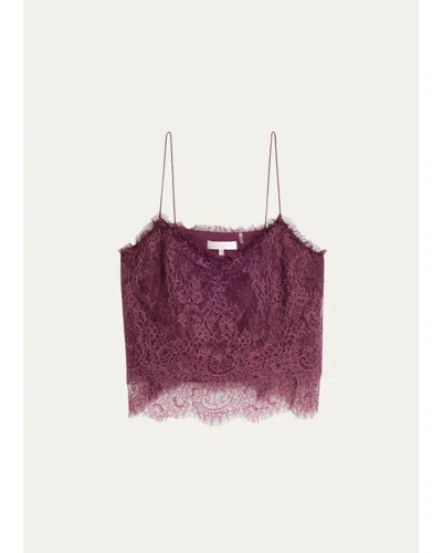 Loveshackfancy Ferni Floral Lace Tank Top In Burgundy