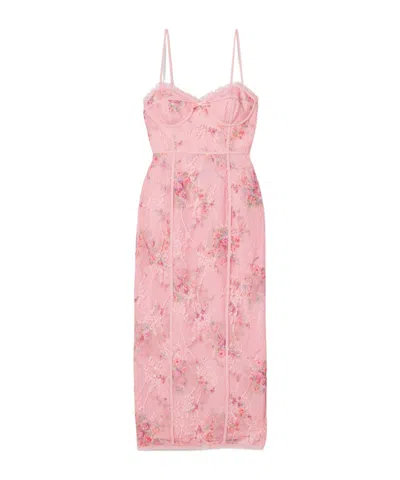 Loveshackfancy Tresor Lace Midi Dress In Pink