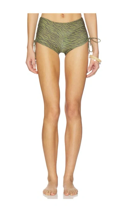 Lovewave The Neko Short In Brown & Green Zebra