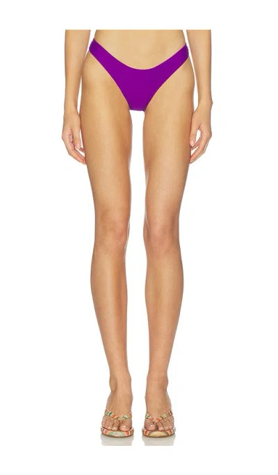 Lovewave The Ryder Bottom In Purple