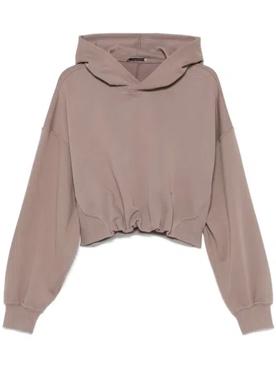 Low Classic Cropped-hoodie In Braun
