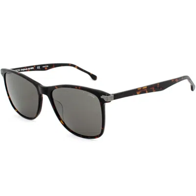 Lozza Bicolor Acetate Sunglasses In Gray