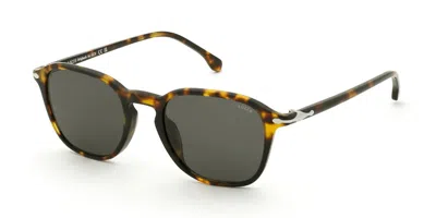 Lozza Sl4431 Asolo 4 0743 Men's Sunglasses Tortoiseshell Size 51 In Multi