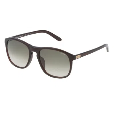 Lozza Sunglasses