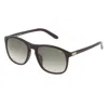 Lozza Sunglasses In Brown