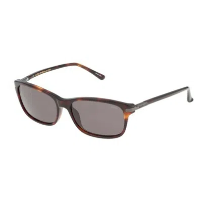 Lozza Unisex Sunglasses  Sl4029m564app  56 Mm Gbby2 In Multi