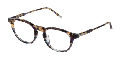 Lozza Vl4238 Biella 3 Men's Glasses, Tortoiseshell, Size 49 In Brown