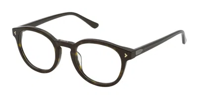 Lozza Vl4293v Taormina 1 Men's Glasses, Tortoiseshell, Size 50 In Brown