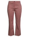 L.p. Di L. Pucci L. P. Di L. Pucci Woman Pants Pink Size 8 Cotton, Elastane In Pink