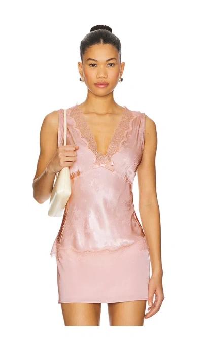 Lpa Daphne Top