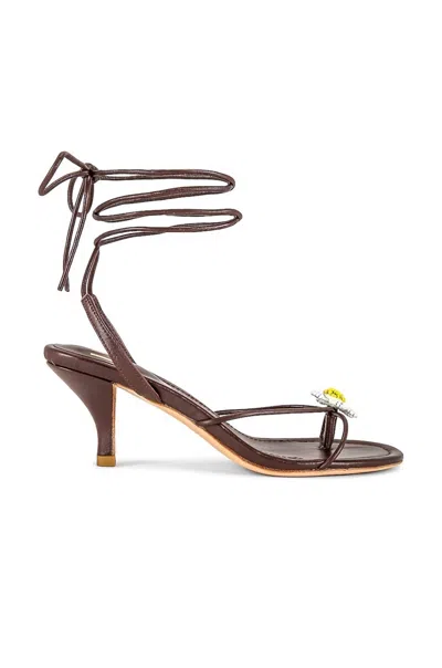 Lpa Women's Mariele Sandal In Dark Chocolate In Multi