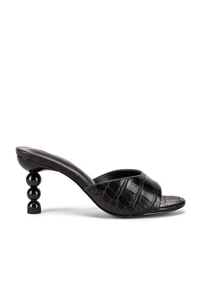 Lpa Women's Sofi Heel Sandal In Black