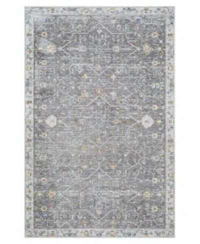 Lr Home Alexis All 471 26x8 In Gray-ivory