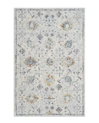 Lr Home Aliza Classic Bordered Polyester Indoor Area Rug In Grey