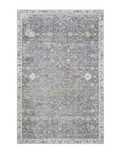 Lr Home Aliza Gray/multi Classic Bordered Indoor Area Rug In Grey