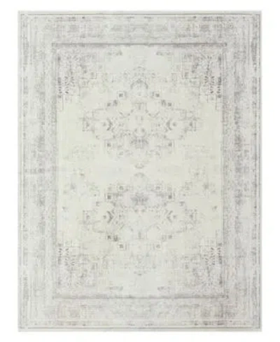 Lr Home Anna Ari 426 2x5 In Gray