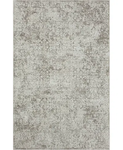 Lr Home Bienne Biena82285 5' X 7'11" Area Rug In Gray