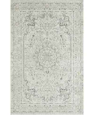 Lr Home Closeout!  Felicity Fly81778 4' X 6' Area Rug In Ivory,gray