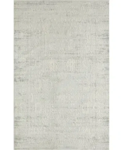 Lr Home Closeout  Felicity Fly81780 Area Rug In Ivory,gray