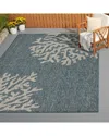Lr Home Coastal Floral Indoor/outdoor Performance Area Rug