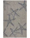Lr Home Coastal Graphic Print Indoor/outdoor Performance Area Rug