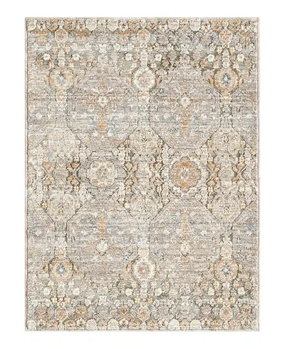 Lr Home Garza Vio-133 Area Rug, 2'2 X 3' In Neutral