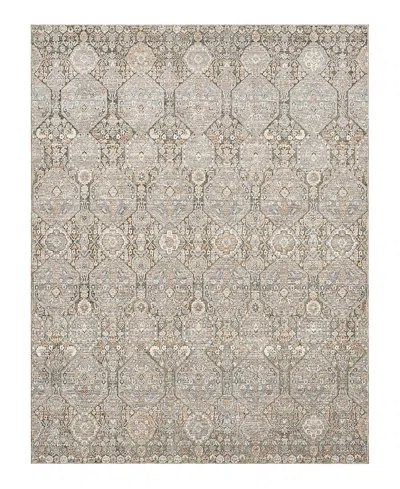 Lr Home Garza Vio-133 Area Rug, 4' X 6' In Brown