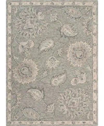 Lr Home Valiant Valnt81583 Area Rug In Gray