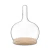 Lsa Glass Cloche Dome With Oak Base, 10 In Clear