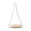 Lsa Glass Cloche Dome With Oak Base, 14 In Clear