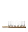 Lsa International Paddle Vodka Set Clear