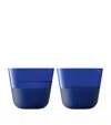 Lsa International Set Of 2 Arc Contrast Tumblers In Blue