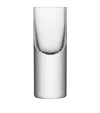 Lsa International Set Of 2 Boris Shot Glasses In Clear