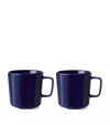 Lsa International Set Of 2 Collective Mugs