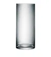 Lsa International Tall Glass Column Vase In Clear