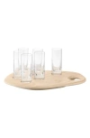 Lsa Paddle Shot Set In Transparent