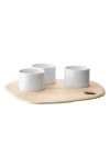 Lsa Palette 4-piece Tapas Set In Transparent