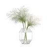 Lsa Rotunda Medium Glass Vase - Clear In Clear