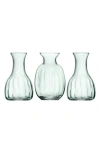 Lsa Set Of 3 Glass Vases In Clear