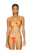 L*space Coast To Coast Bikini Top In Native Poppies