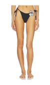 L*space Lspace Levy Bitsy String Bikini Bottoms In Black