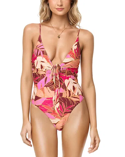 L*space Piper Classic One Piece Swimsuit In Multi