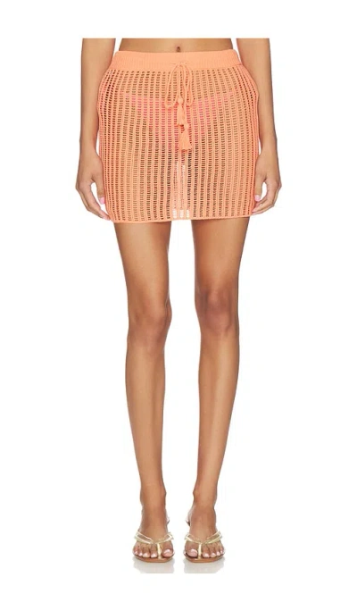 L*space Sander Crochet Skirt In Freshly Squeezed In Animal Print
