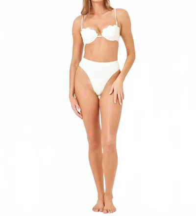 L*space Sunrise Shell Bikini Top In Cream In Multi
