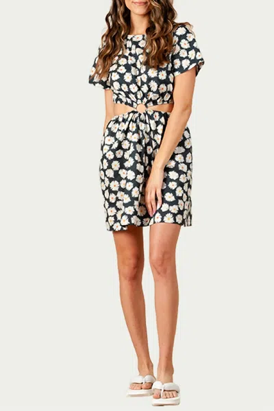 Lucca Carnation Cutout Cotton Mini Dress In Black Daisy In Multi