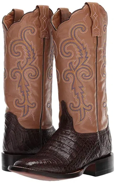 Pre-owned Lucchese Annalyn Caiman Women's Boots, Cafe/light Tan, Size 6.5b, In Box In Brown