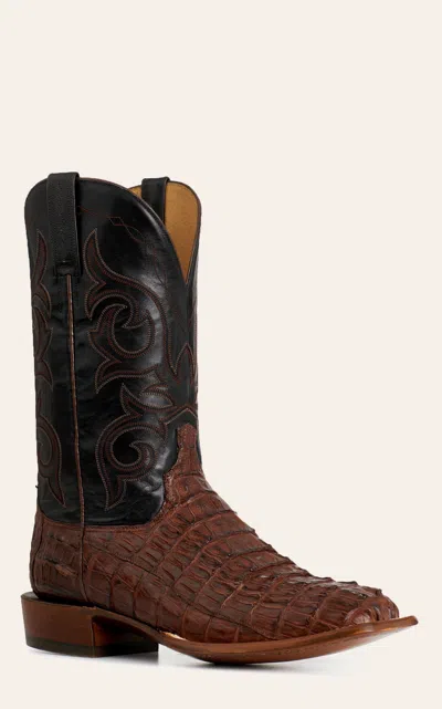 Lucchese Men's Burnt Umber Black Caiman Wide Square Toe Cowboy Boots In Brown