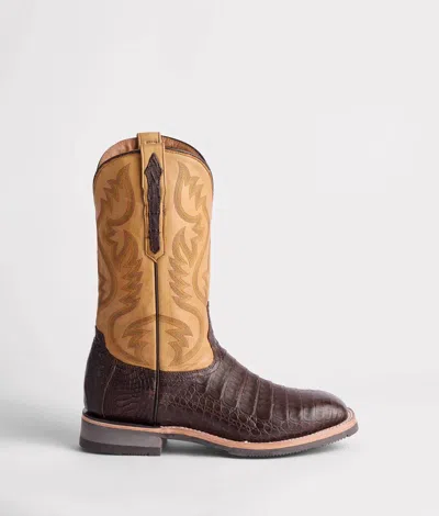 Lucchese Women's Rowdy Boots In Caiman/chocolate In Multi